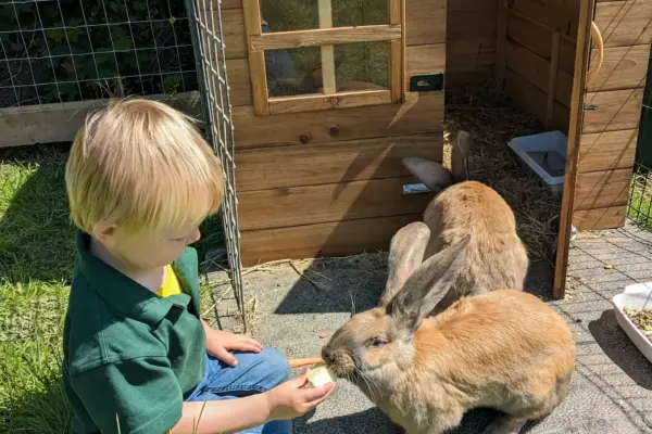 3b9ca3d5-fae8-4657-8a81-16ee276c4cd2