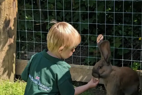 6421b4dd-0f34-4180-afac-be5132162ebb