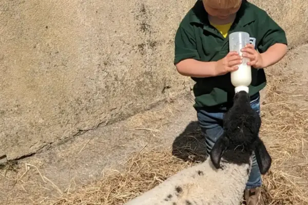 ca6f3db1-ff32-4eaf-a431-99a334beb7b6